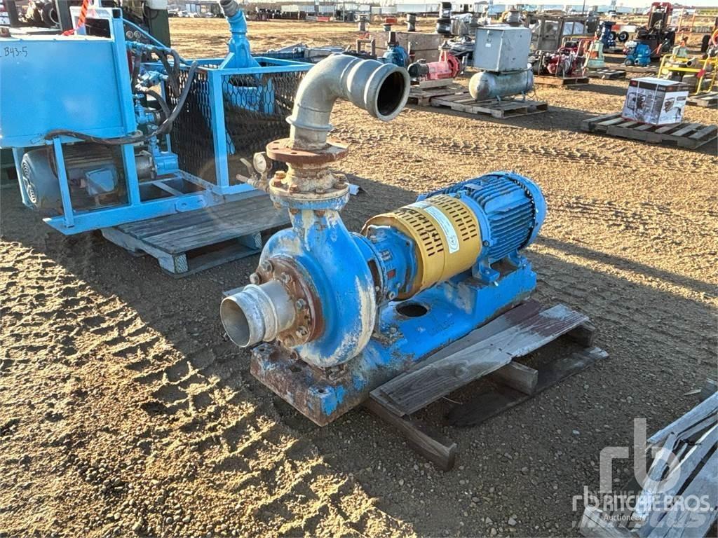  GOULDS 3196 Гидронасосы