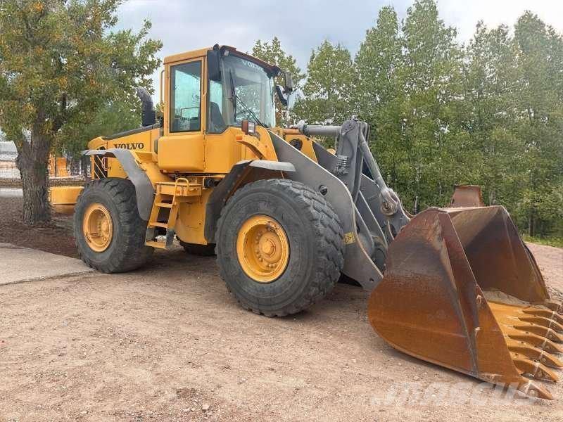 Volvo L110E Фронтальные погрузчики